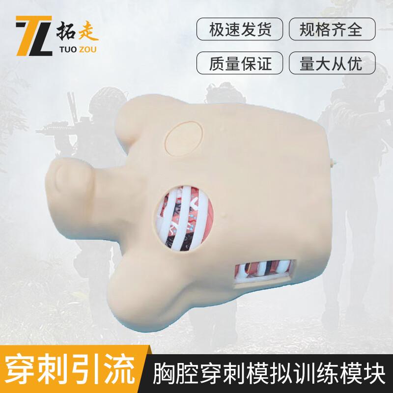 Thoracentesis Training Model