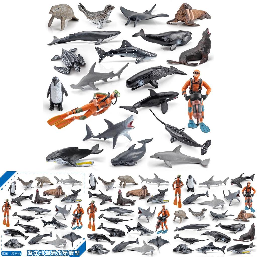 Oceanic Creature Pvc Figurines Collection With Static Marine Animals For Aquarium Decor