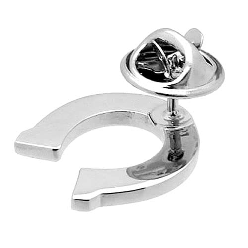 Horseshoe Horseshoe Lucky Charm Pin Lapel Pin Pin029