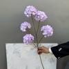 5 Köpfe Künstliche Hortensienblüten Schneeball-Viburnum Fake Blumendekoration Hochzeitsdekoration