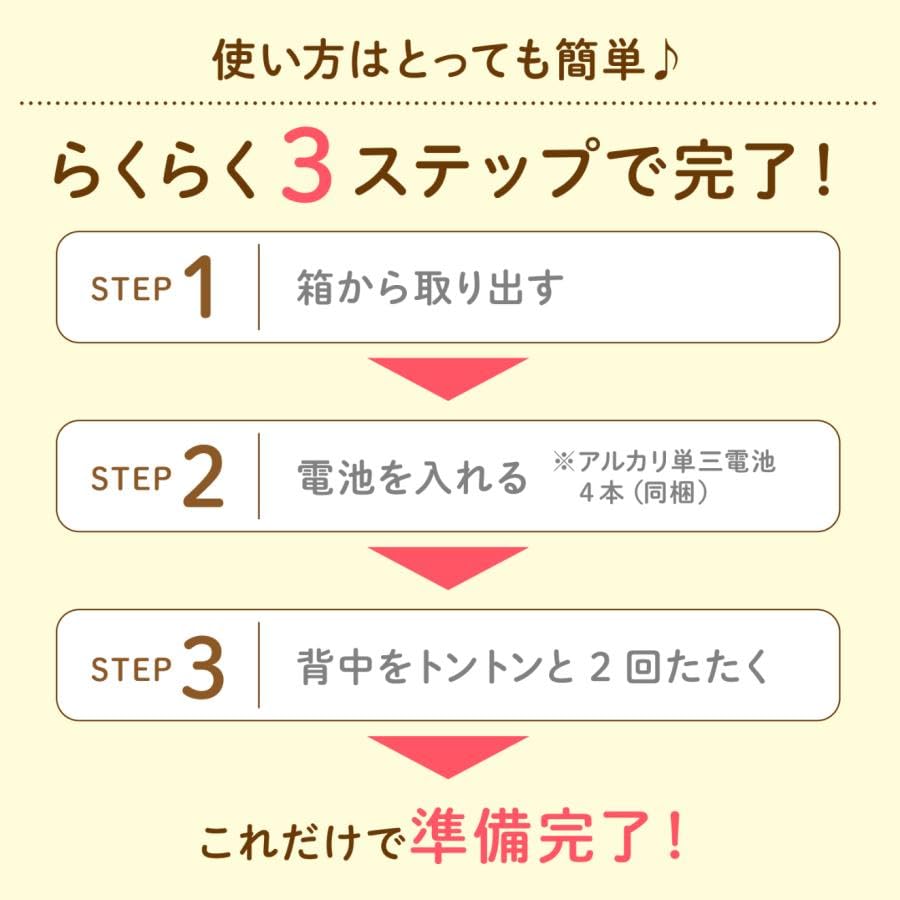 Partners Voice Recognition Doll Smile Ken-chan with Gift Bag