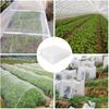 TG71981 NET SUPPORT FOR CLIMBING PLANTS LADDER SUPPORT 0.9x5M