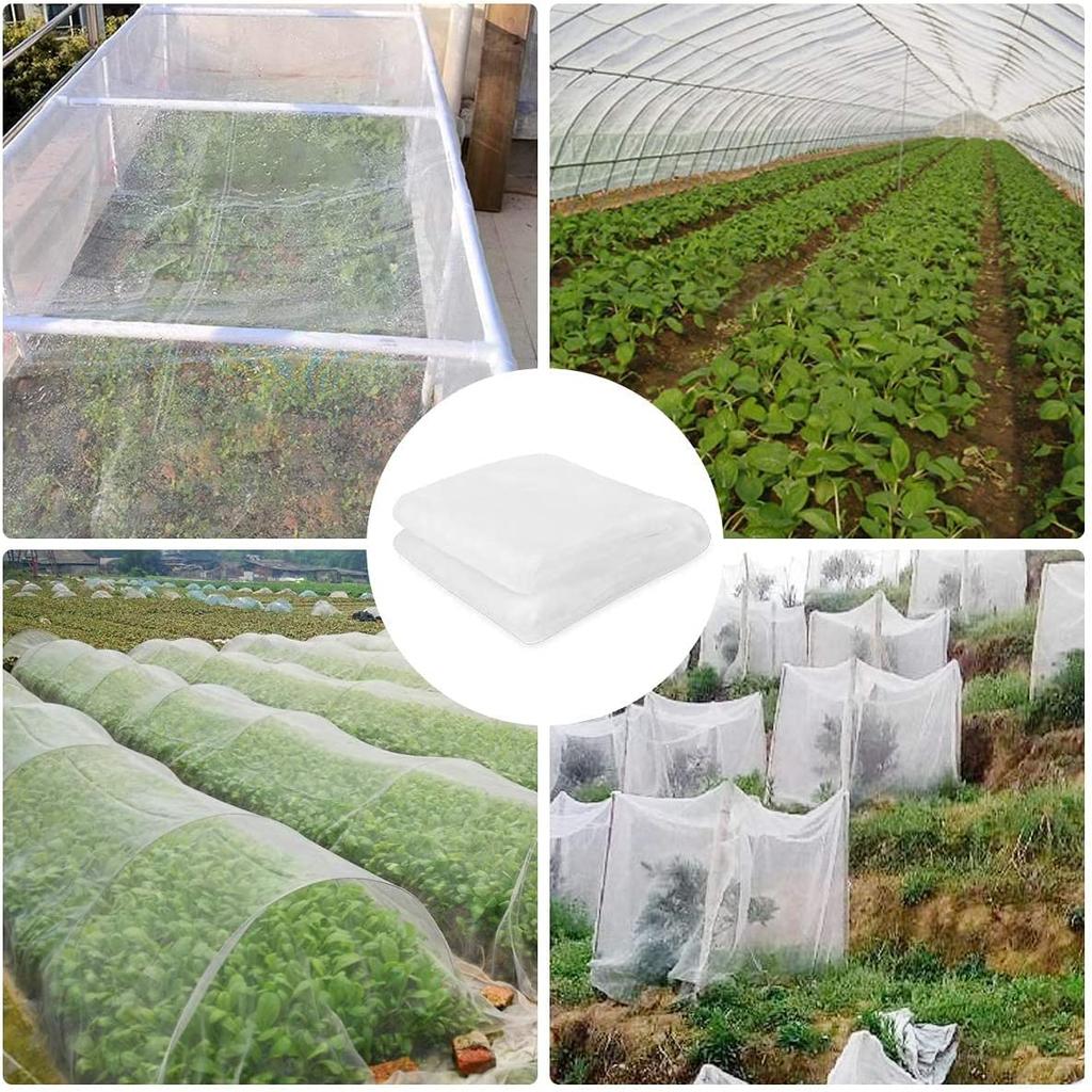 TG71981 NET SUPPORT FOR CLIMBING PLANTS LADDER SUPPORT 0.9x5M