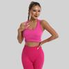 Women's Quick-Dry Seamless Sports Bra and Leggings Set - Shockproof Vest for Running and Yoga