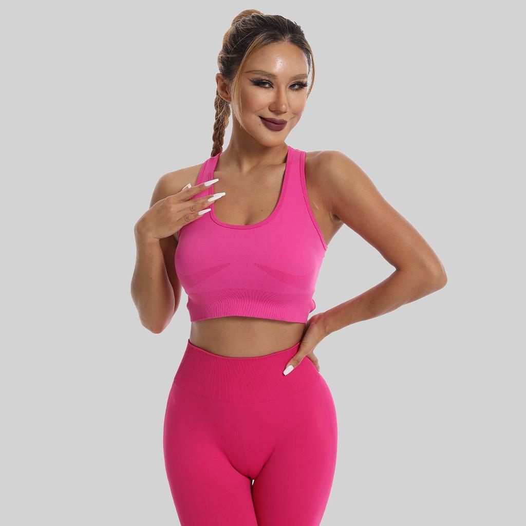 Women's Quick-Dry Seamless Sports Bra and Leggings Set - Shockproof Vest for Running and Yoga