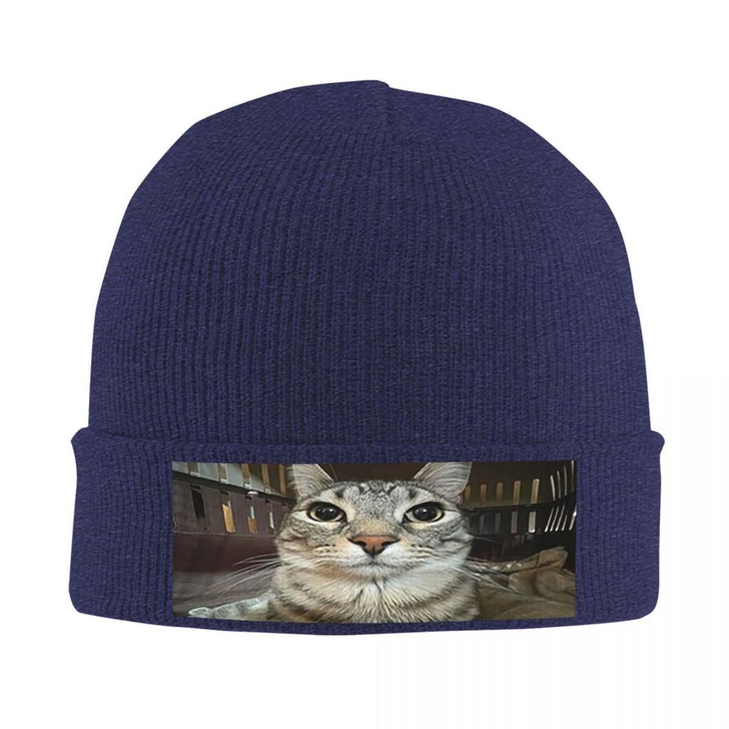 Cat Looking Directly At You Warm Knitted Cap Fashion Bonnet Hat Autumn Winter Outdoor Beanies Hats for Unisex Adult