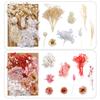 1 Bag Dried Flowers Pressed Dry Flower For DIY Phone Case Epoxy Resin Filling Pendant Jewelry Making Crafts Nail Art Decor