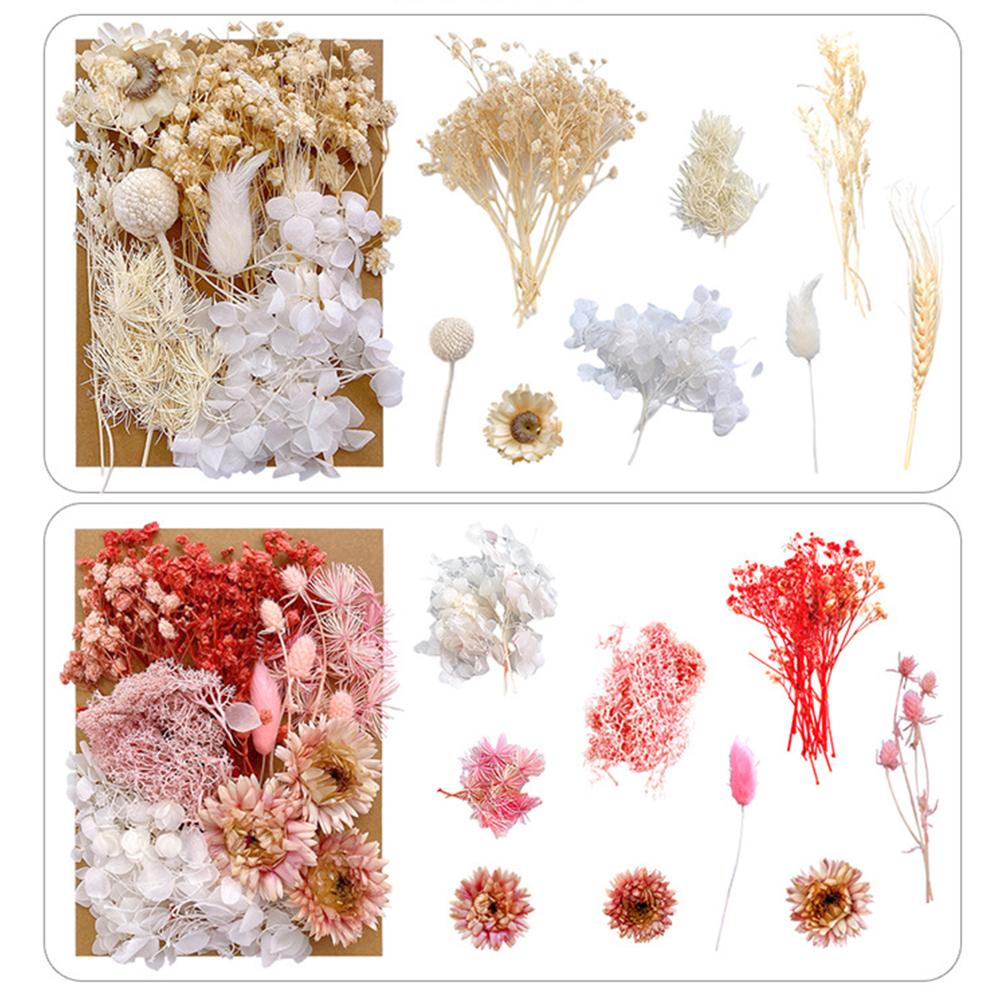 1 Bag Dried Flowers Pressed Dry Flower For DIY Phone Case Epoxy Resin Filling Pendant Jewelry Making Crafts Nail Art Decor
