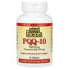 PQQ-10, 30 Softgels