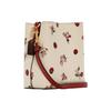 Coach Town 16 Metal Carriage Logo Cartoon Print Coated Canvas And Smooth Leather Crossbody Bag Small Women Crossbody Bag White C7268-IMCAH