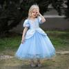 Girls Princess Dress Cinderella Blue Tulle Embroidered Puff Sleeve Party Kids 4-14 Years