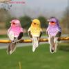 (YOUU06)1 piece of realistic feathered bird, colorful foam bird, for garden and landscape decoration, craftwork.