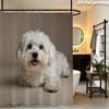 Cute Dog Puppy Printed Shower Curtain Waterproof Pet Shower Curtain Bathroom Decor Novelty Curtain for Kids Gift