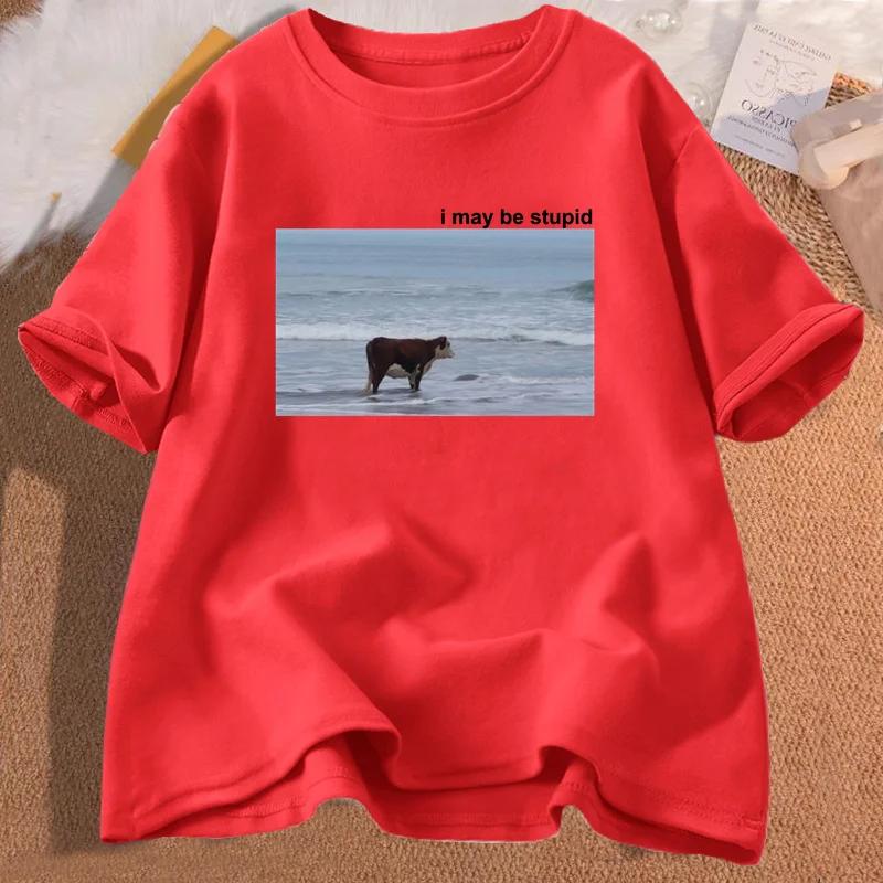 

I May Be Stupid Cow on Beach Funny Meme T Shirt Cotton Short Sleeve Men s Fashion O-Neck T-shirt Casual Cozy Cotton T Shirts 4XL