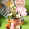 Miniature food toy plants, potted plants, mini models, artificial flowers 12 parts ob11 Gardening dollhouse Ceramics diy