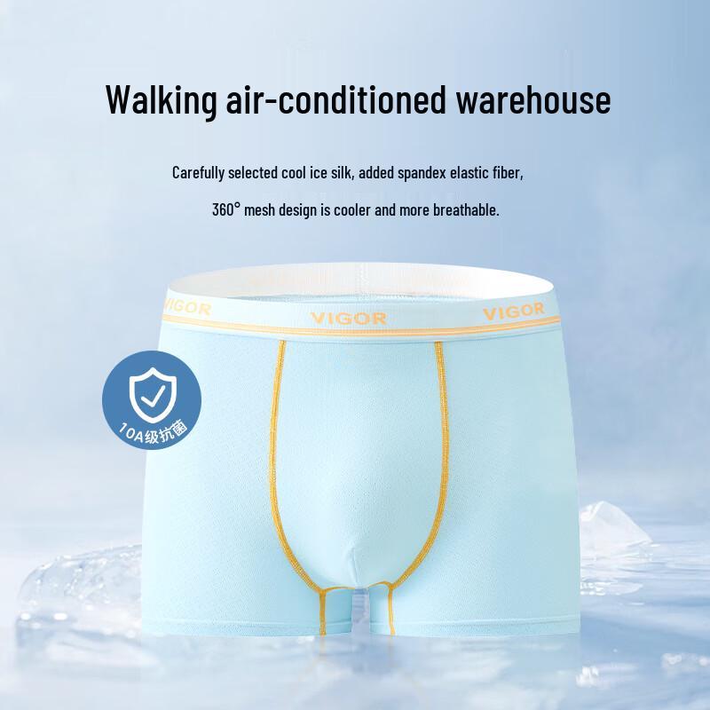 Fenteng Teen Boys Breathable Nylon Ice Silk Underwear