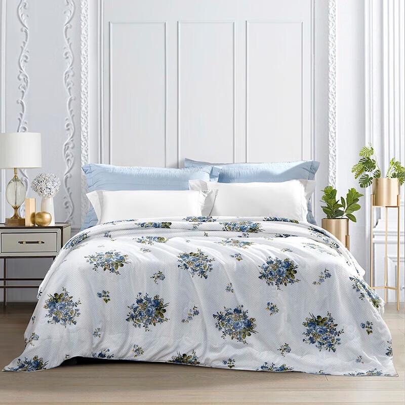 

Fuanna Antibacterial Mulberry Silk Quilt