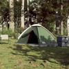 VidaXL Tente de camping à dôme 2 personne vert imperméable, tente, abri de camping, abri de jardin, tente de jardin, abri 94759