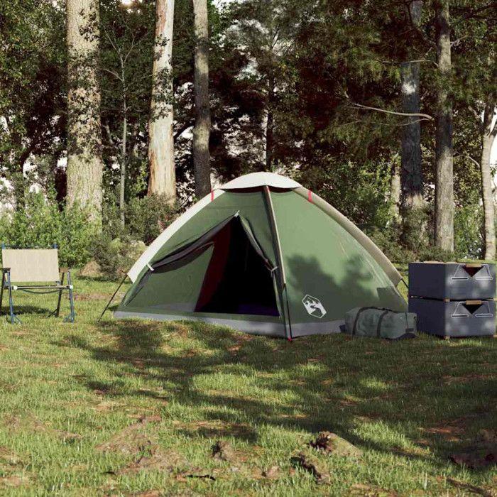 VidaXL Tente de camping à dôme 2 personne vert imperméable, tente, abri de camping, abri de jardin, tente de jardin, abri 94759