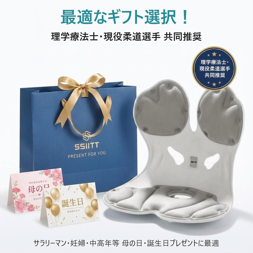 SSIITT Posture Correction Chair, Pelvic Support Chair, Seat Chair, Prevents Back Pain, Pelvic Correction, Posture Correction, High-Rebound Memory Cott