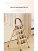 Carbon Steel Telescopic Folding A-Frame Ladder & Clothes Rack