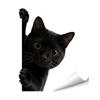 Adesivos de Janela de Animais Raposa Gato Guaxinim Desenho Animado Adesivos Estáticos Removíveis para Quarto de Crianças Sala de Estar Portas de Vidro Janelas
