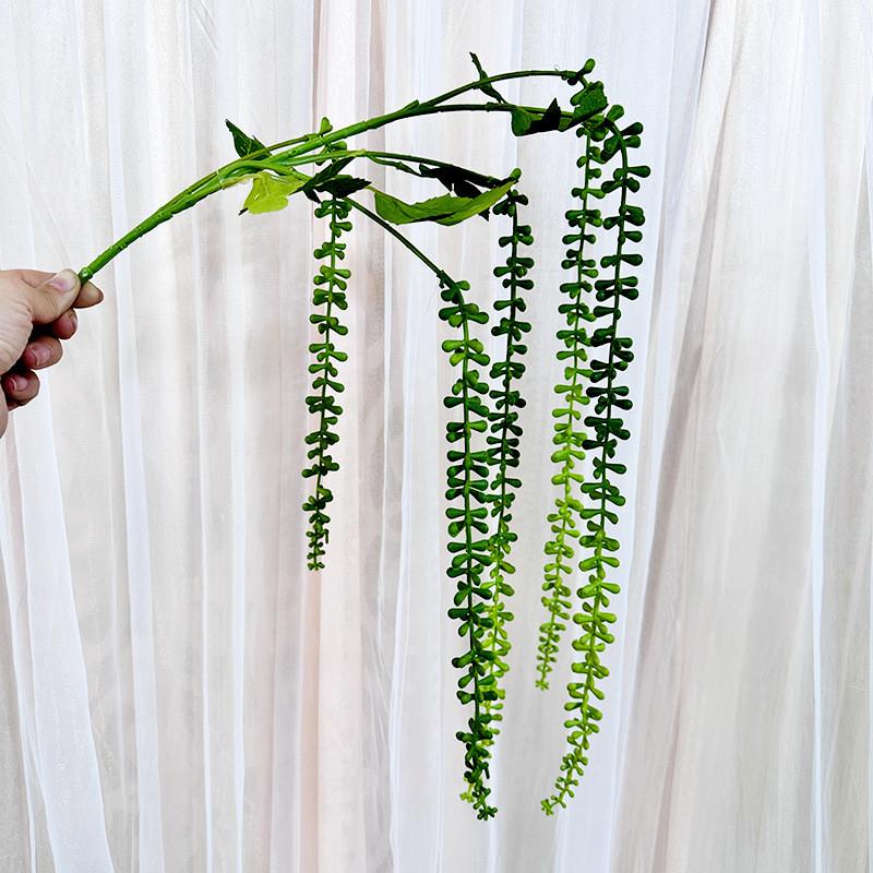 Faux Plant Wall Decor With Senecio Rowleyanus For Home Interior And Photography Use