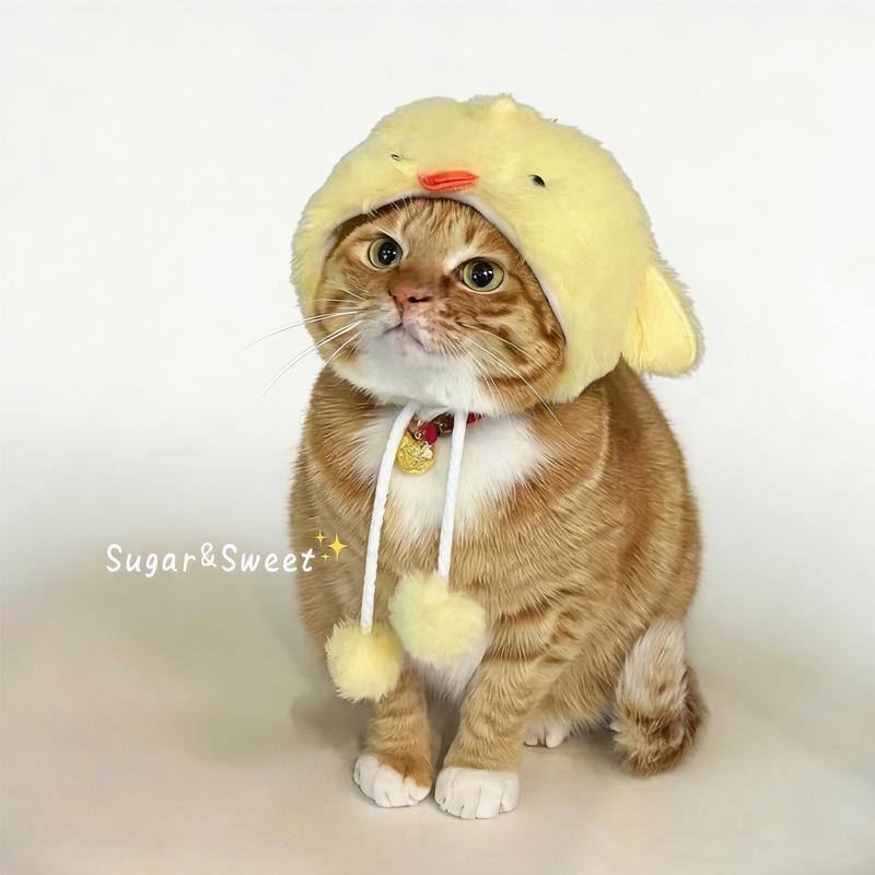 Maltese white goose hood Taiyaki cat hood pet hat small dog cute funny hat