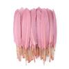 Natural Goose Feather 10-15cm Colorful Feather for Crafts DIY Jewelry Headress Carnival Dream Catcher Plumes Decor