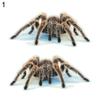 Pegatina de Coche Escorpión Lagarto Araña 3D Decoración de Calcomanía para Ventana de Vehículo Espejo Parachoques