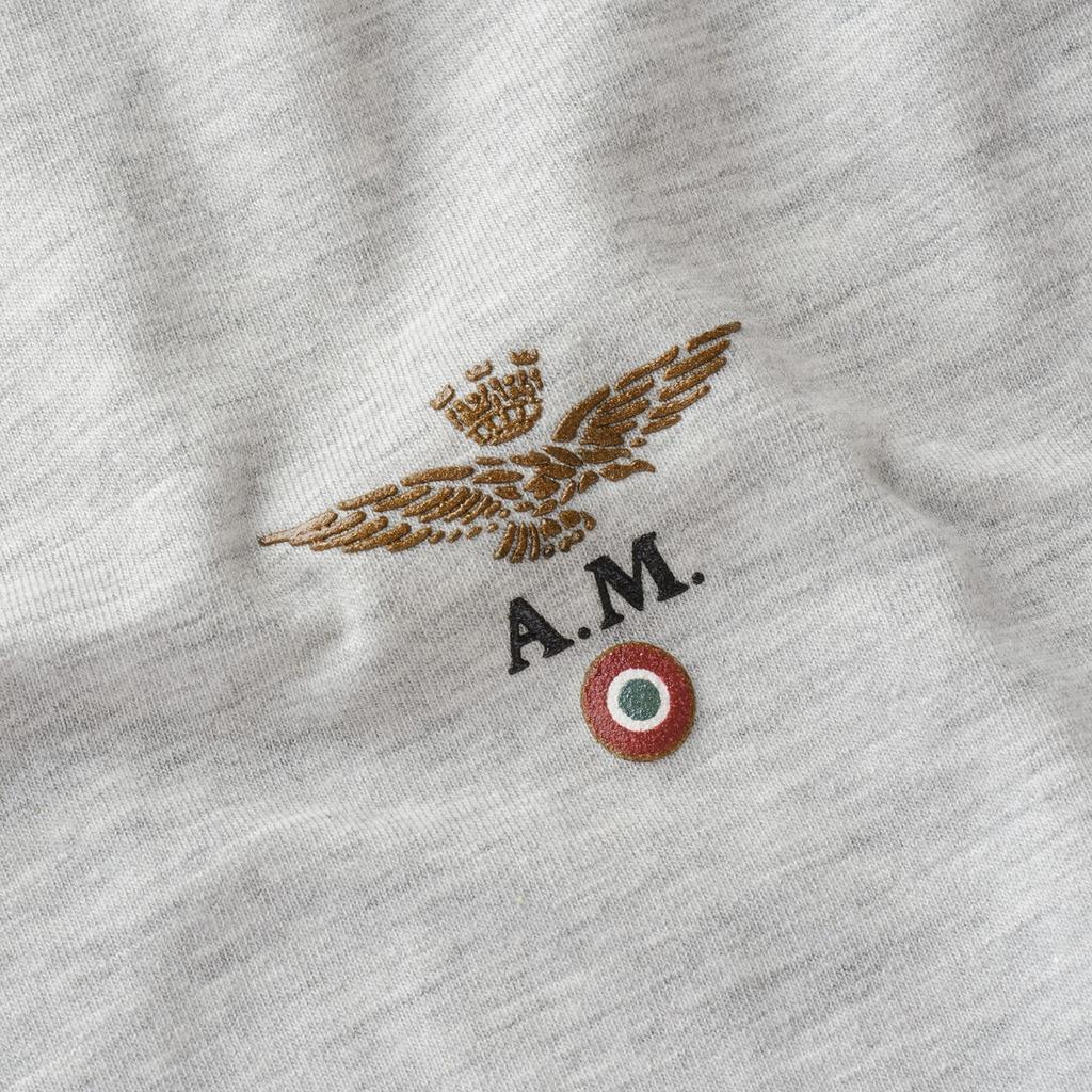 Aeronautica Militare Gray T-Shirt Men' Crew-Neck Scoti001J508-17171