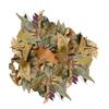 BioThai Mix Leaves - Leaves from Thailand Mix 20g