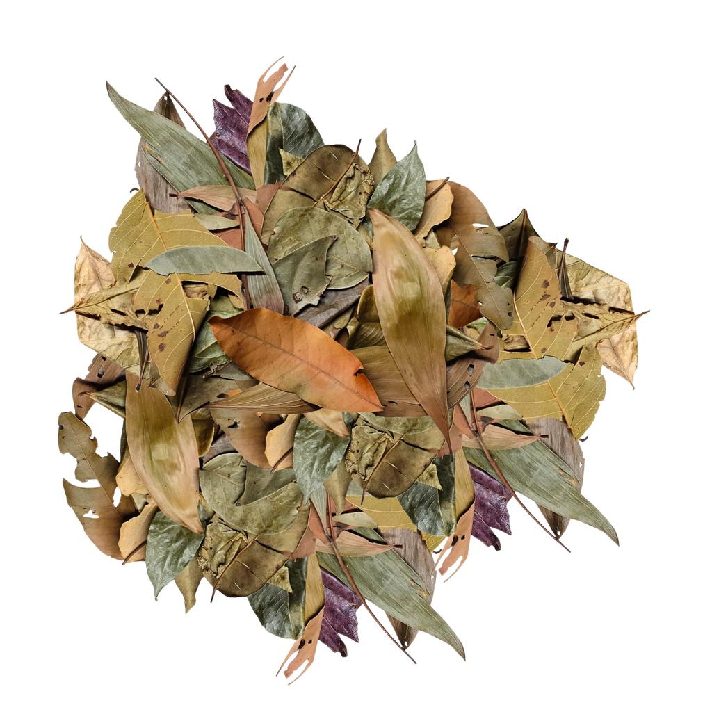 BioThai Mix Leaves - Leaves from Thailand Mix 20g