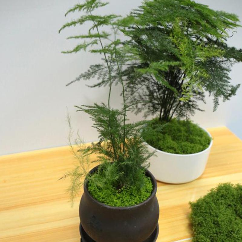 50 г искусственный мох DIY поделки трава искусственный мох искусственный консервированный мох зеленые растения для дома комната сад декор мини ландшафт искусственная трава