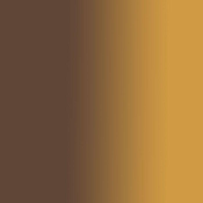 Peinture à l'huile - Sennelier - Terre italienne - 40ml - Marron - Avancé