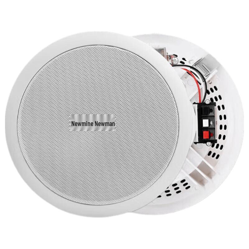 Newmine ND-7 8-inch Ceiling Speaker & PA System Kit (CN version)