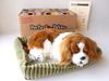 Ninian and Kino Perfect Pet Cavalier King Charles Spaniel Plush Stuffed Perfect Cute Dog Stuffed Animal (Small) Dog, Realistic, Lifelike, Animal-Like