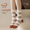 5 Pairs of Female Autumn and Winter Sweat Absorbing Deodorizing Fashion Color Collision Boneless Soft Tube Socks