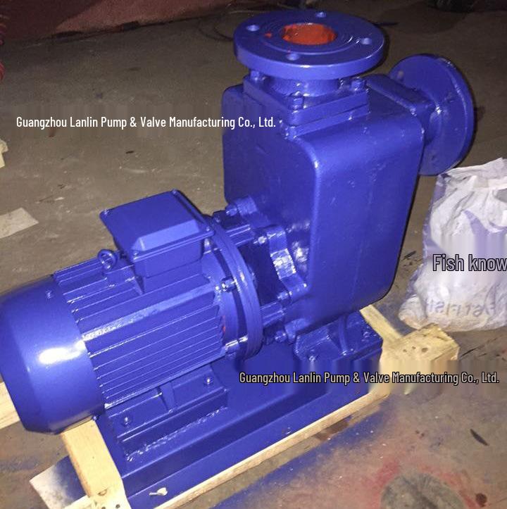 80BZ-30 High Head 380V Horizontal Self-Priming Centrifugal Pump for Large Flow Three-Phase Circulation.