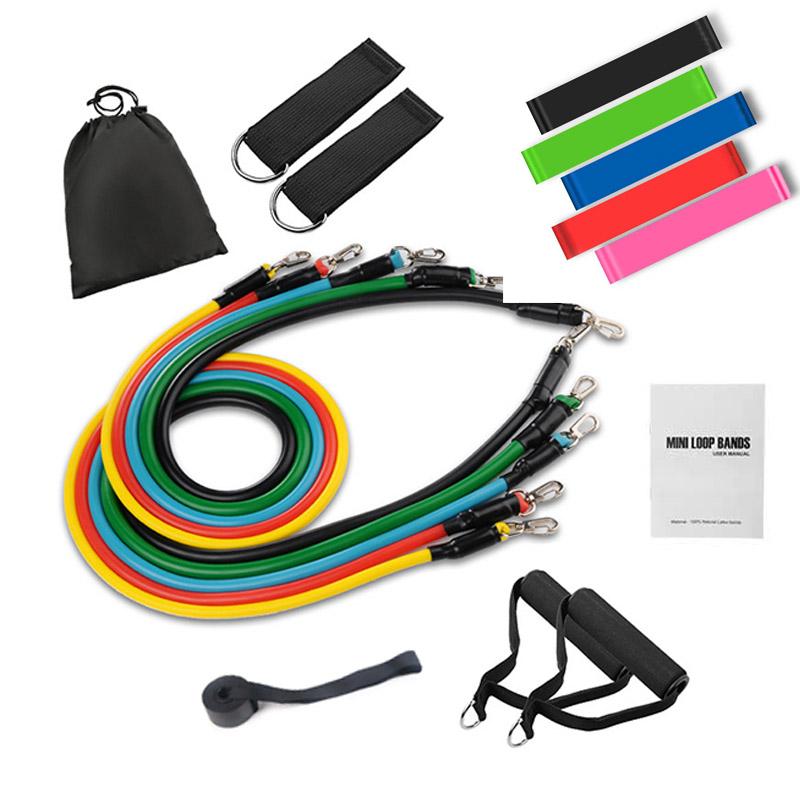 Tube Resistance Bands Kit with Attached Handles Door Anchor Carrying Case and Exercise Guide Training