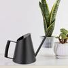 Nortic Retro Stainless Steel Long Spout Watering Can for Indoor Plants