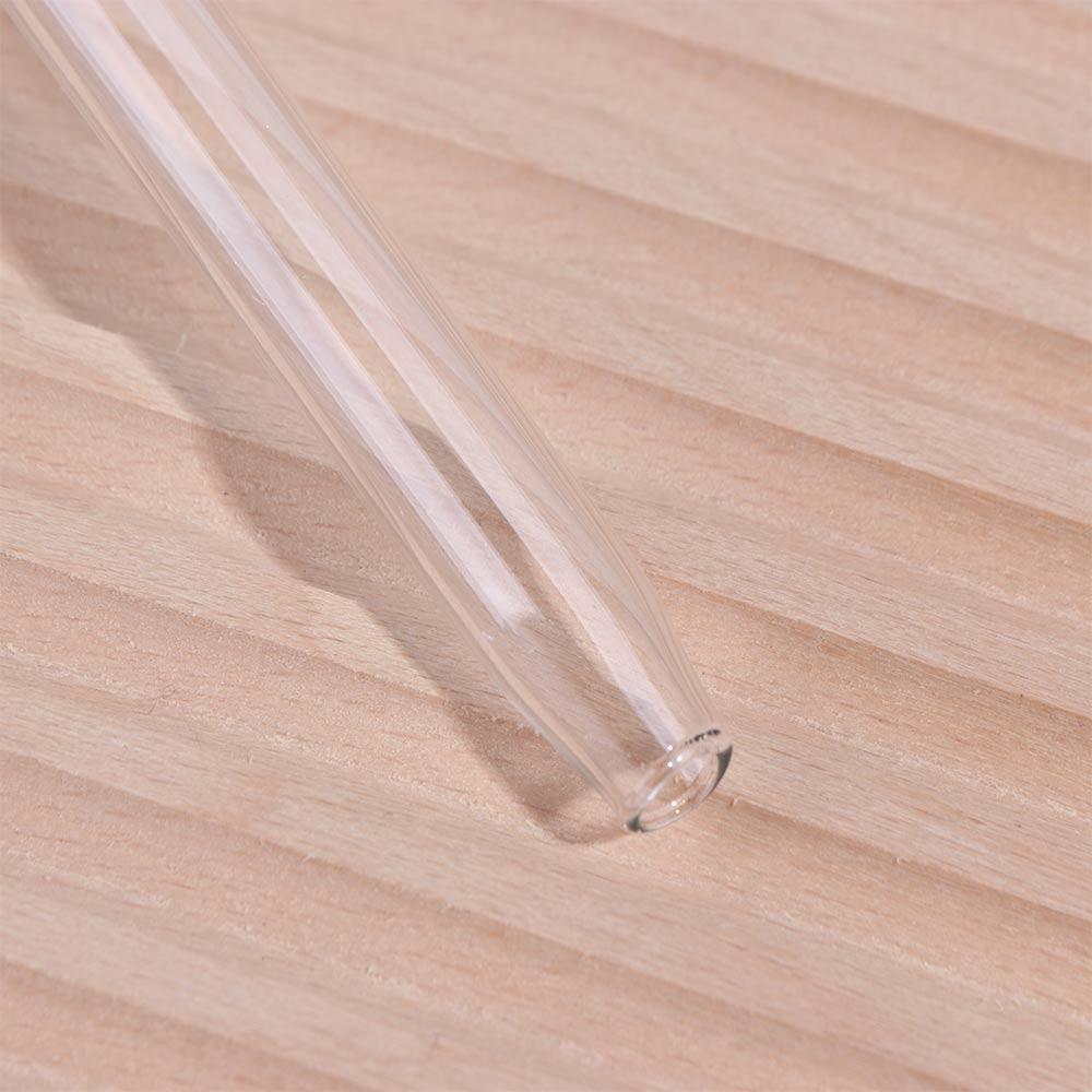 Glass Cactus Self Watering Planter Automatic Plant Water Feeder Glass Bulbs New Year Gift