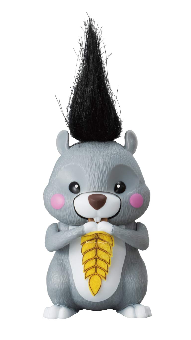 Moguchii Pet Squirrel