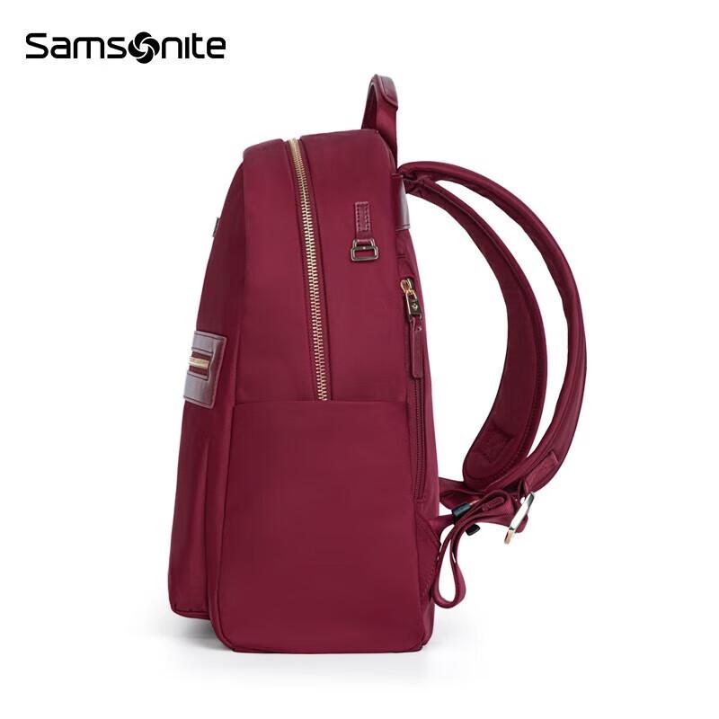 Samsonite TT3 Computer Backpack