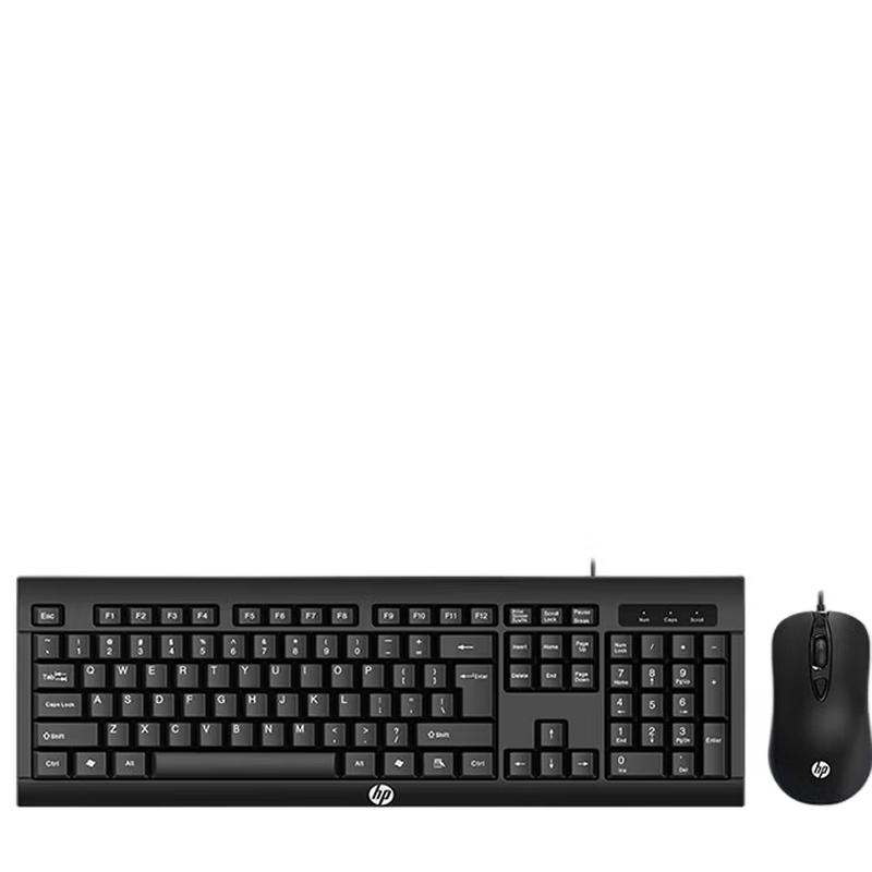 HP KM100 Wired Keyboard and Mouse Combo