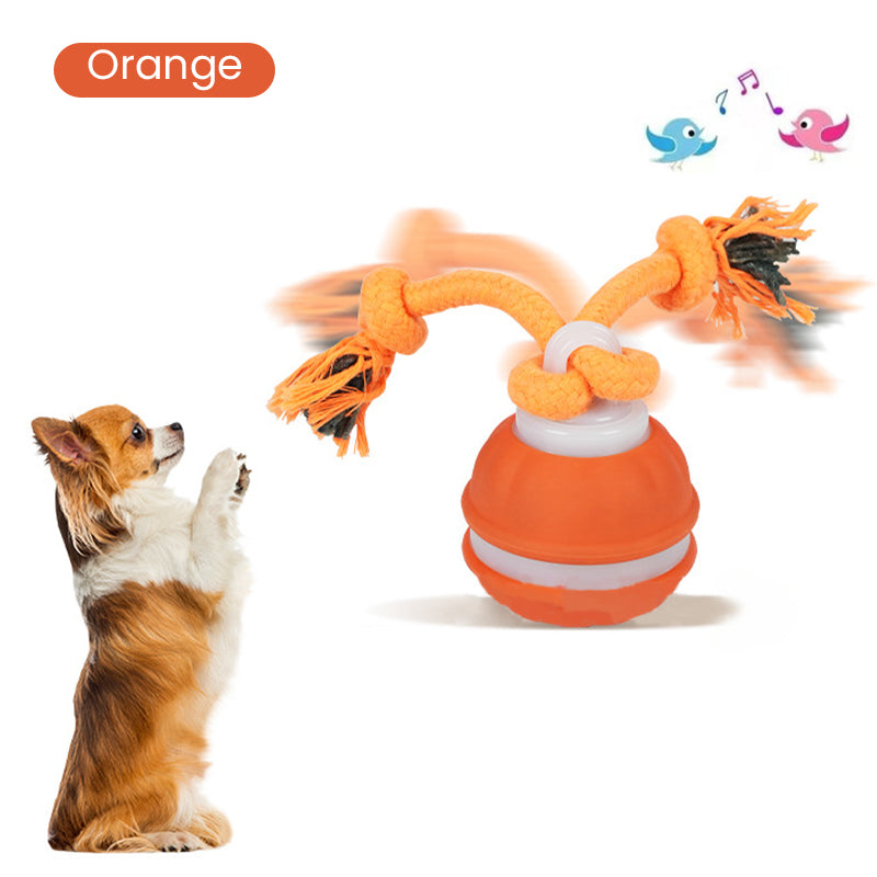 Smart Dog Toy Ball Electronic Interactive Pet Toy Moving Ball Rope Automatic Moving Toy USB Rechargeable Toy for Puppy Chew