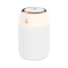 Mini USB Portable Air Humidifier, Aroma Diffuser, LED Cool Light, Mist for Room, Home, Car, Plant Purifier, 330ml