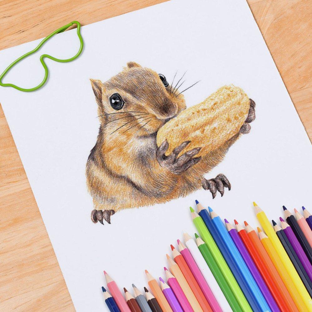 Souyos Colored Pencils for Coloring and Includes Storage Case and Sharpener 72-Color Oil-Based Drawing,