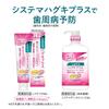 Systema Haguki Plus Dental Medical Herb 900ml 80ml Mini Rinse or Floss be Liquid Periodontal Rinse, Mint, Mild, + Y-Shaped (Cannot selected)