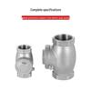 Stainless Steel Internal Thread Horizontal Check Valve